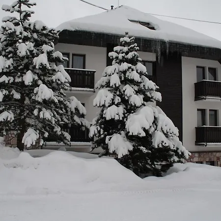 Aurum 4* Černý Důl
