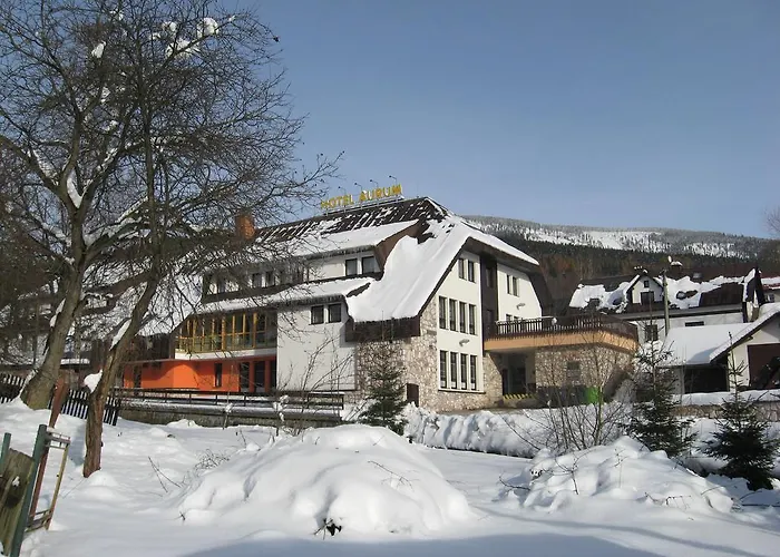 Aurum 4* Černý Dŭl