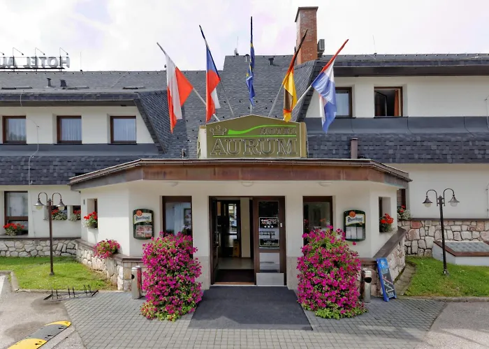 Hotell Aurum 4*